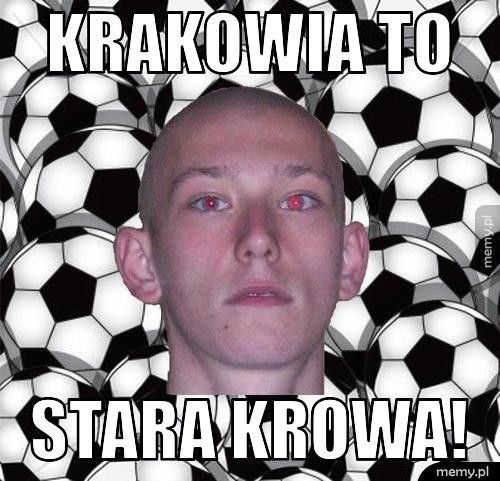 Krakowia to stara krowa!