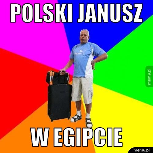 polski janusz w egipcie