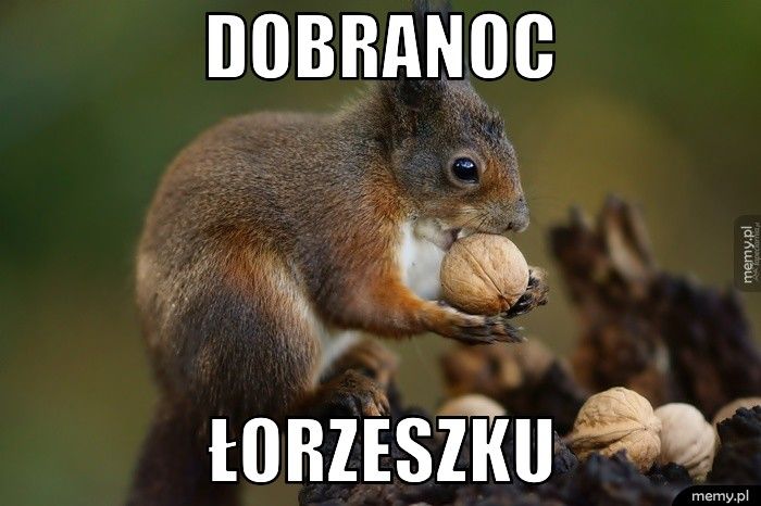 Dobranoc łorzeszku