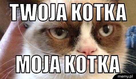 twoja kotka moja kotka