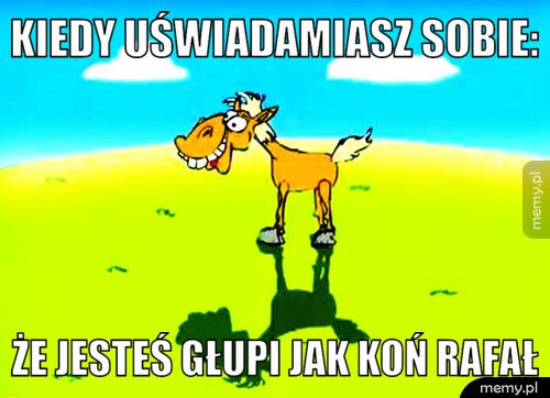 Kiedy uświadamiasz sobie: Że jesteś głupi jak koń Rafał