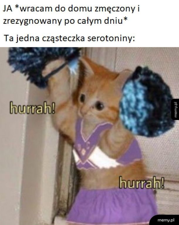 Serotoninka