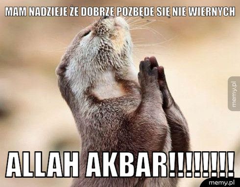 Mam nadzieje że dobrze pozbęde się nie wiernych ALLAH AKBAR!!!!!!!!