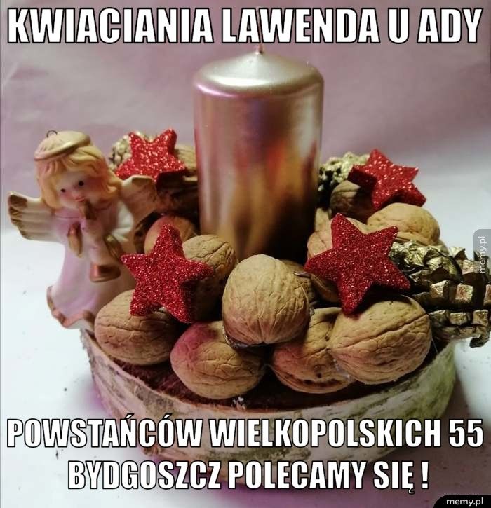 Kwiaciania Lawenda u Ady Powstańców Wielkopolskich 55 Bydgoszcz Polecamy się !