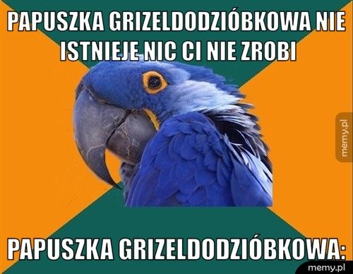 papuszka grizeldodzióbkowa nie istnieje nic ci nie zrobi papuszka grizeldodzióbkowa: