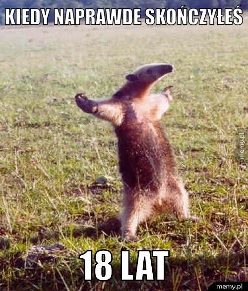 kiedy naprawde skończyłeś 18 lat