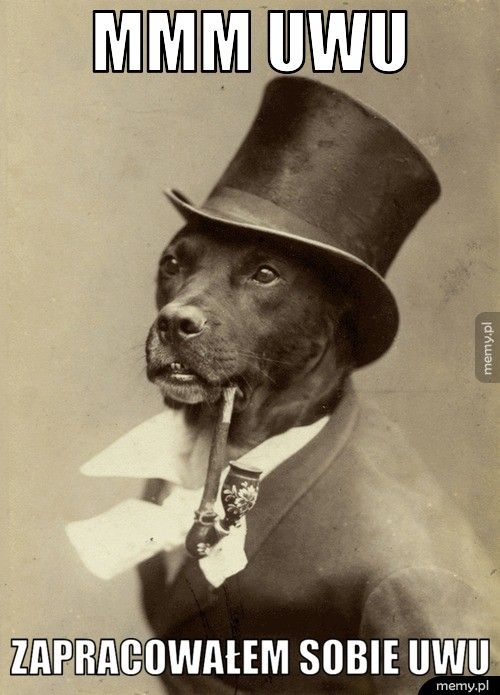 Mmm UwU Zapracowałem sobie UwU