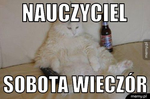 Nauczyciel Sobota wieczór