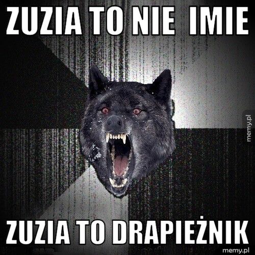 zuzia to nie  imie zuzia to drapieżnik
