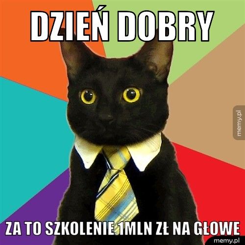 dzień dobry za to szkolenie 1mln zł na głowe