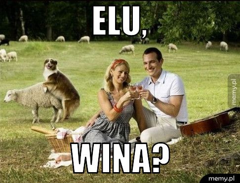 Elu, wina?