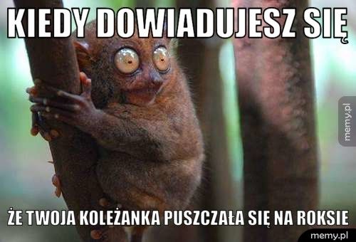 Kiedy dowiadujesz się Że Twoja koleżanka puszczała się na ROKSIE 