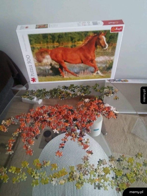 Puzzle to moja pasja