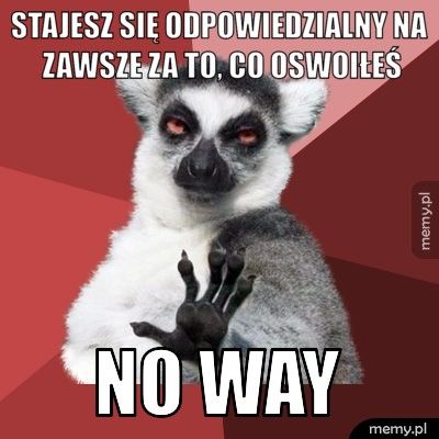 Stajesz się odpowiedzialny na zawsze za to, co oswoiłeś no way