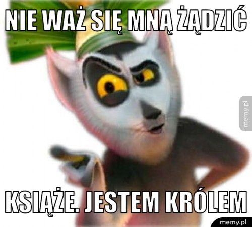 nie waż się mną żądzić książe. jestem królem