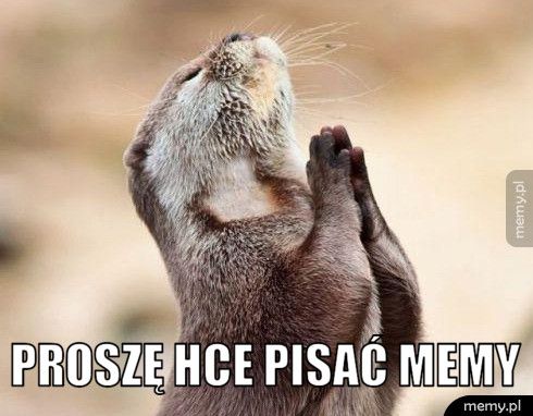 proszę hce pisać memy