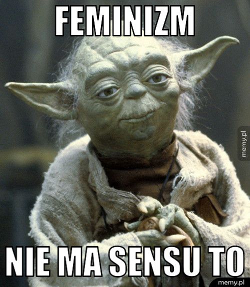 Feminizm Nie ma sensu to