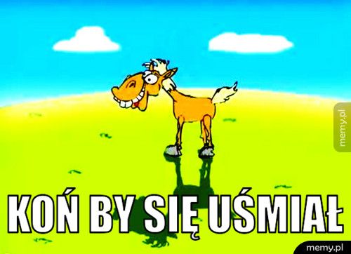 koń by się uśmiał