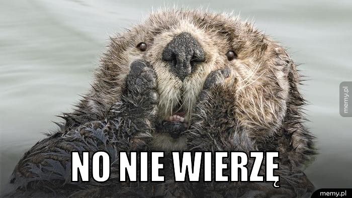 no nie wierzę