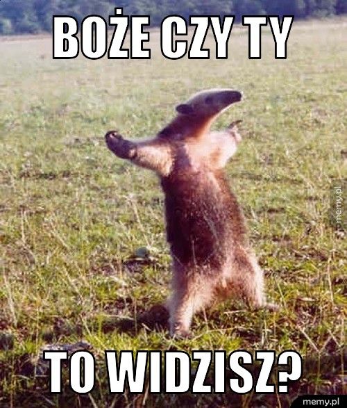 Boże czy ty To widzisz?