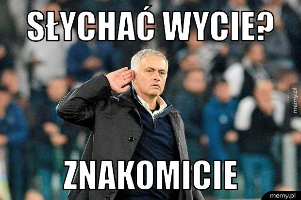 Słychać wycie?  Znakomicie