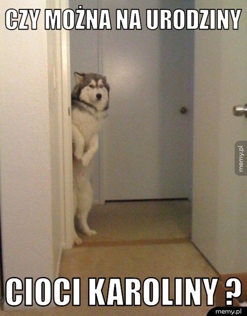 Czy można na urodziny  Cioci Karoliny ?