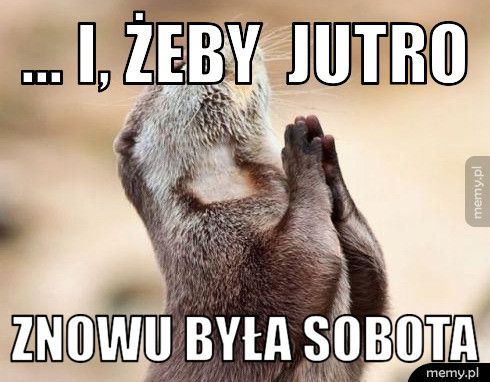 ... i, żeby  jutro znowu była sobota