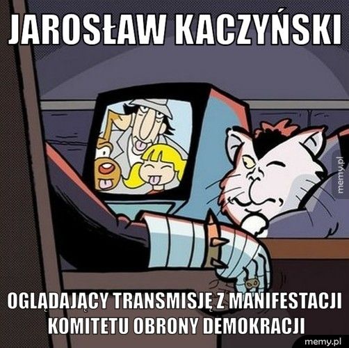 Jarosław Kaczyński  Oglądający transmisję z manifestacji komitetu obrony demokracji