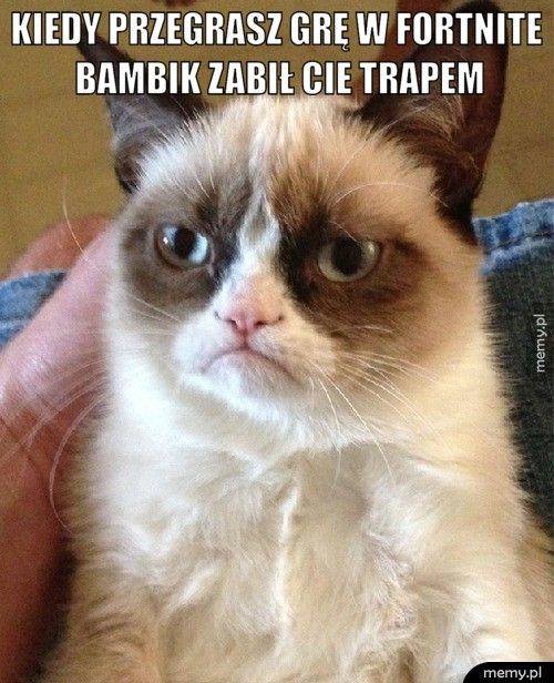 Kiedy Przegrasz grę w fortnite bambik zabił cie trapem 