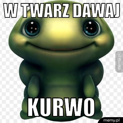 W TWARZ DAWAJ KURWO