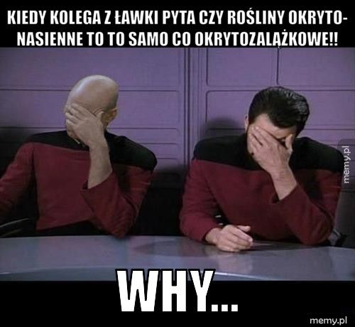 Kiedy kolega z ławki pyta czy rośliny okryto- nasienne to to sam Why...