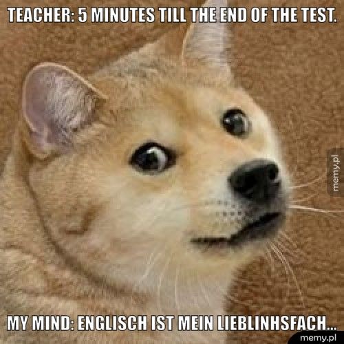 Teacher: 5 minutes till the end of the test. My mind: englisch ist mein lieblinhsfach...