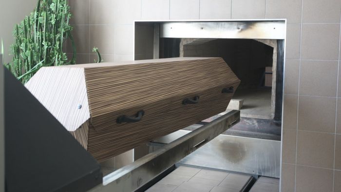 Dlaczego hitler palił żydów?