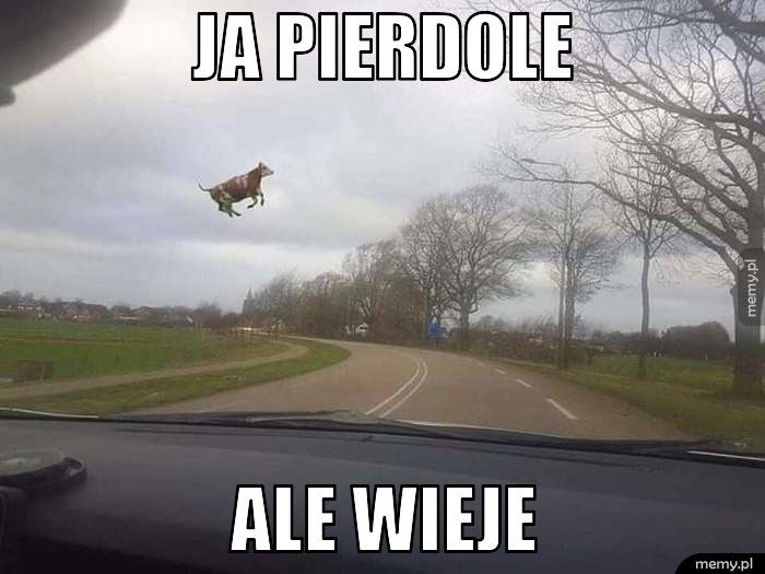 Ja pierdole Ale wieje