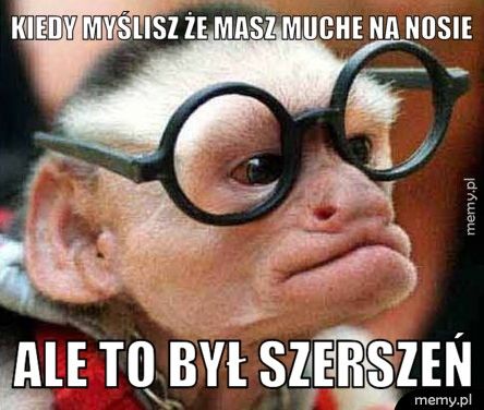 kiedy myślisz że masz muche na nosie ale to był szerszeń