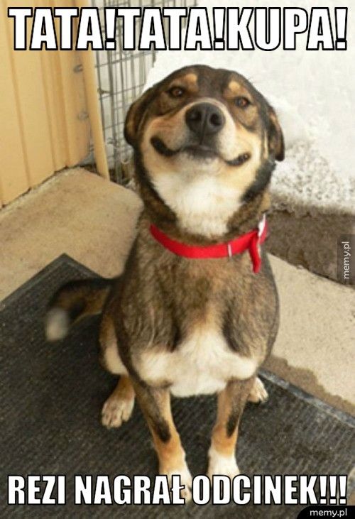 tata!tata!kupa! rezi nagrał odcinek!!!