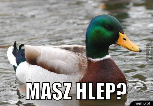  masz hlep?