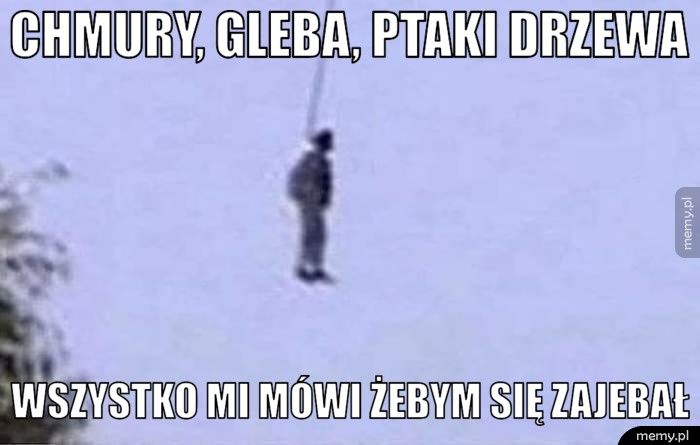 Chmury, gleba, ptaki drzewa Wszystko mi mówi żebym się zajebał