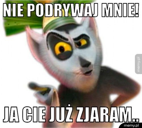 Nie podrywaj mnie! Ja cie już zjaram..