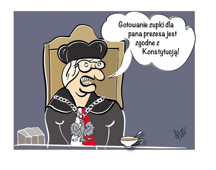 Zakres kompetencji Trybunału Konstytucyjnego 2020