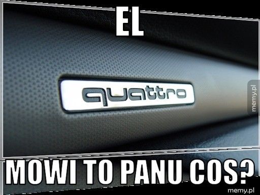 El Mowi to panu cos?