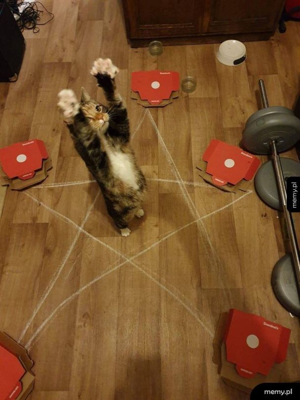 Koteł okultysta