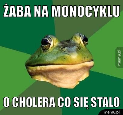 Żaba na monocyklu O cholera co się stalo