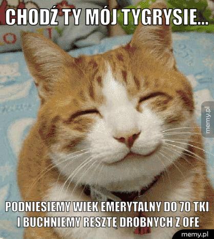 Chodź ty mój tygrysie... Podniesiemy wiek emerytalny do 70 tki i buchniemy resztę drobnyc