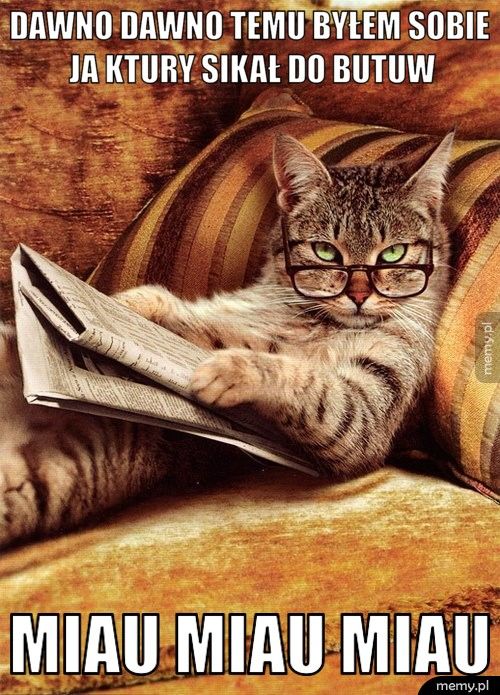 dawno dawno temu byłem sobie ja ktury sikał do butuw miau miau miau