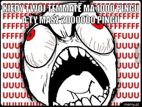 KIEDY TWÓJ TEMMATE MA 1000 PINGU A TY MASZ 2000000 PINGU