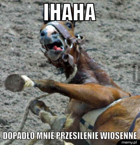 Ihaha Dopadło mnie przesilenie wiosenne