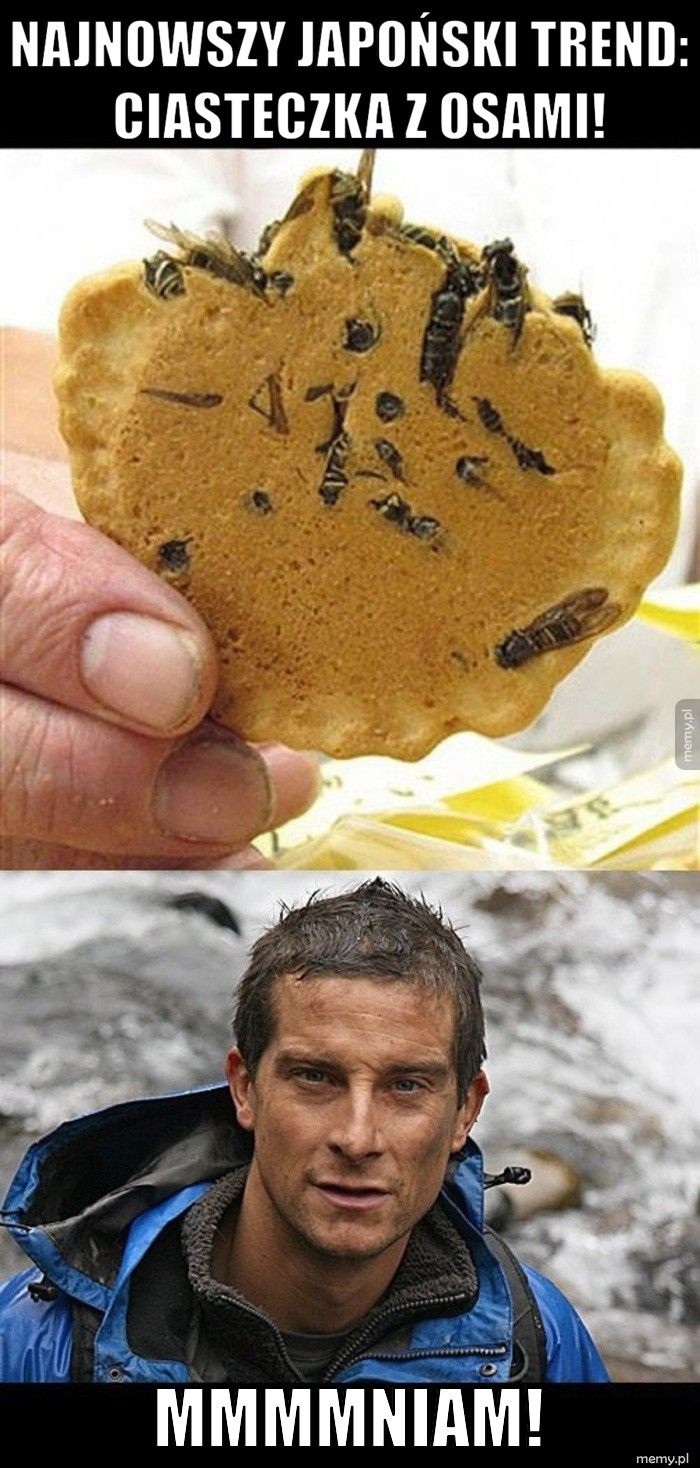       Najnowszy japoński trend:        ciasteczka z osami!  mmmmniam!