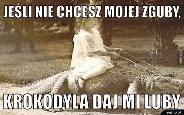 jeśli nie chcesz mojej zguby, krokodyla daj mi luby