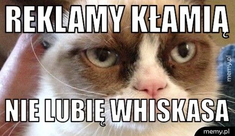 reklamy kłamią nie lubię whiskasa